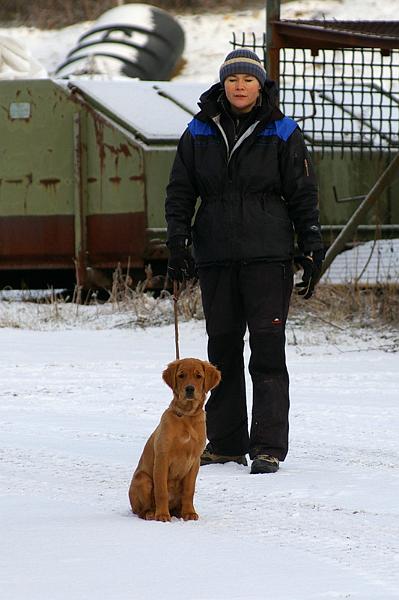 Soveltuvuustesti (45).jpg